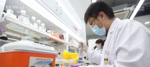 骨科脊柱类耗材集采落地 平均降价84%，技术咨询服务助力惠民生